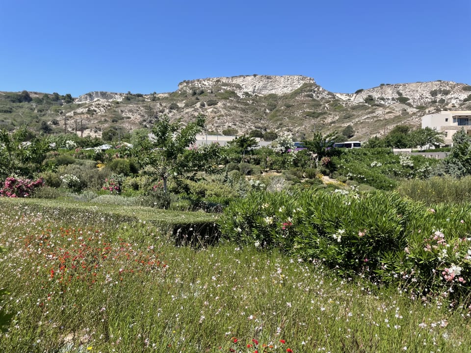 Gartenanlage Blue Lagoon Village