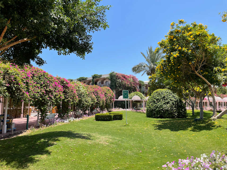 Gartenanlage Desert Rose