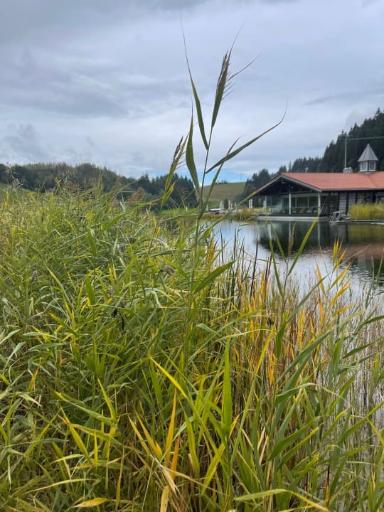 Gartenanlage Haubers Naturresort