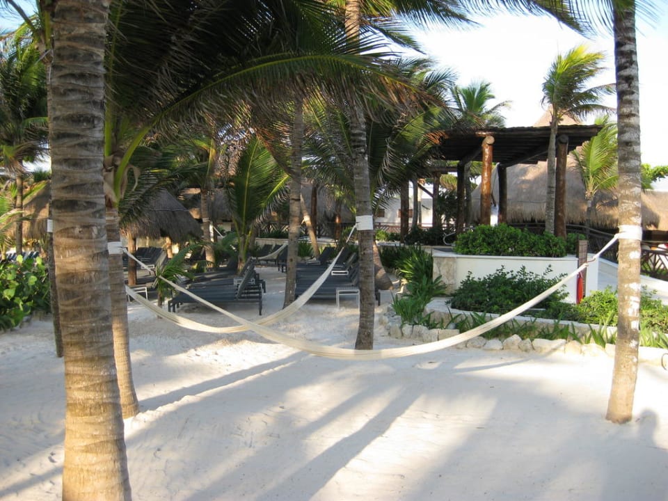 Hängematten am Strand Catalonia Royal Tulum Beach & Spa Resort - Adults only