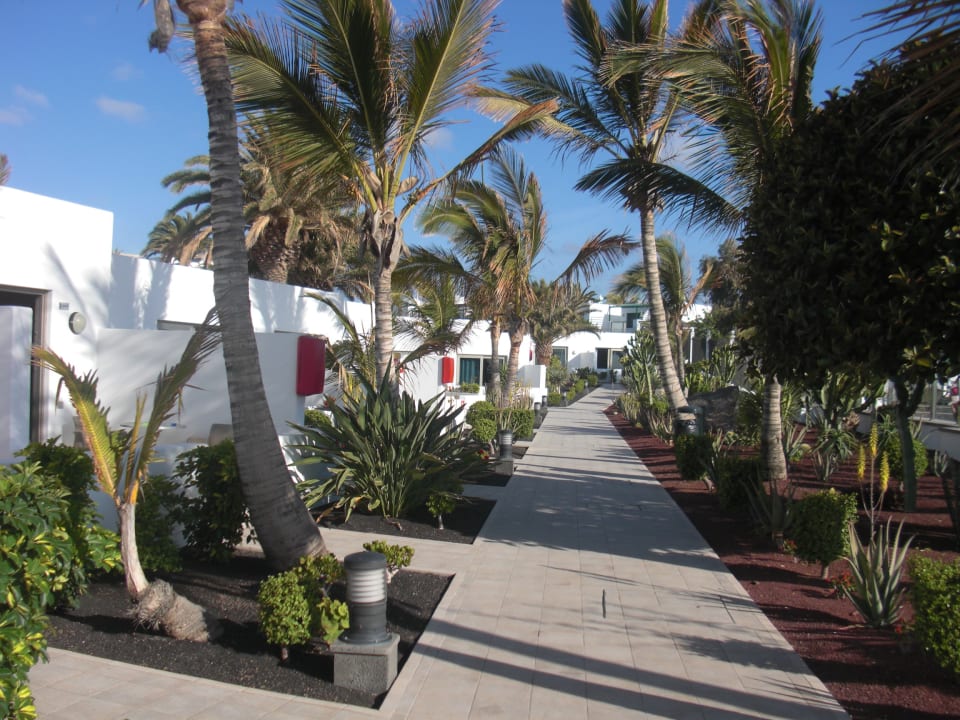 Gartenanlage Hotel Las Costas