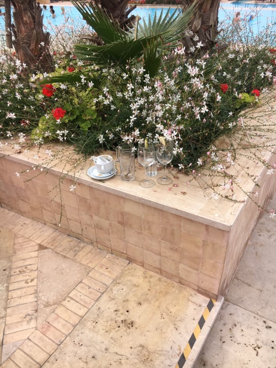 Gartenanlage ROBINSON AGADIR