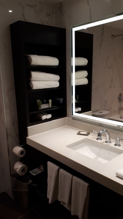 Zimmer Hotel Hilton Suites Toronto/Markham Conference Centre & Spa