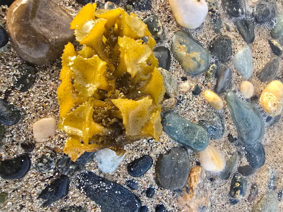 Strand Bliss Nada Beach Resort