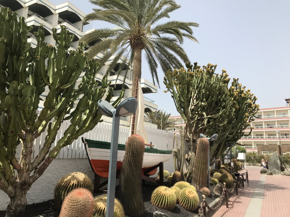 Gartenanlage LABRANDA Marieta - Adults only