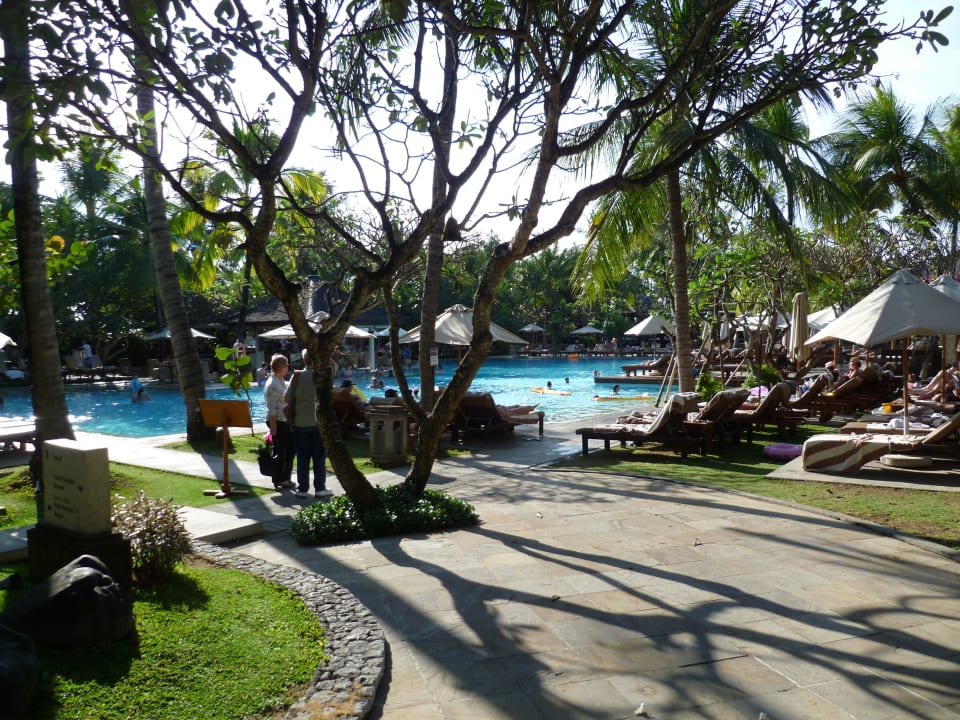 Hier gehts zum Pool Padma Resort Legian