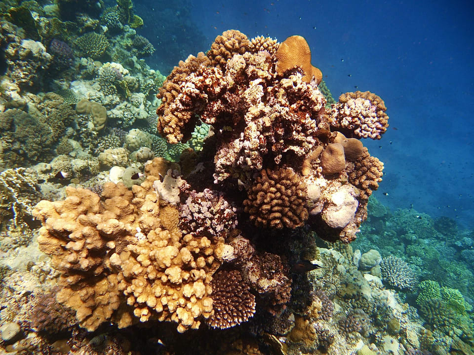 Strand Three Corners Sea Beach Resort