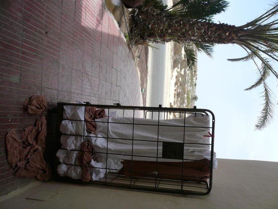 Außenanlage Hotel Riu Oliva Beach - Hotel