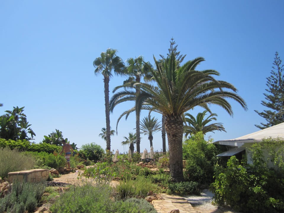 Garten Hotel Nissi Beach Resort