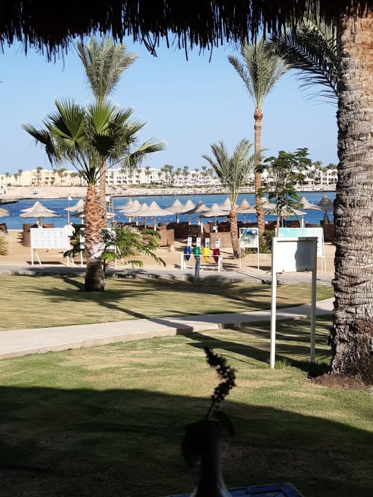 Gartenanlage Steigenberger Coraya Beach - Adults only