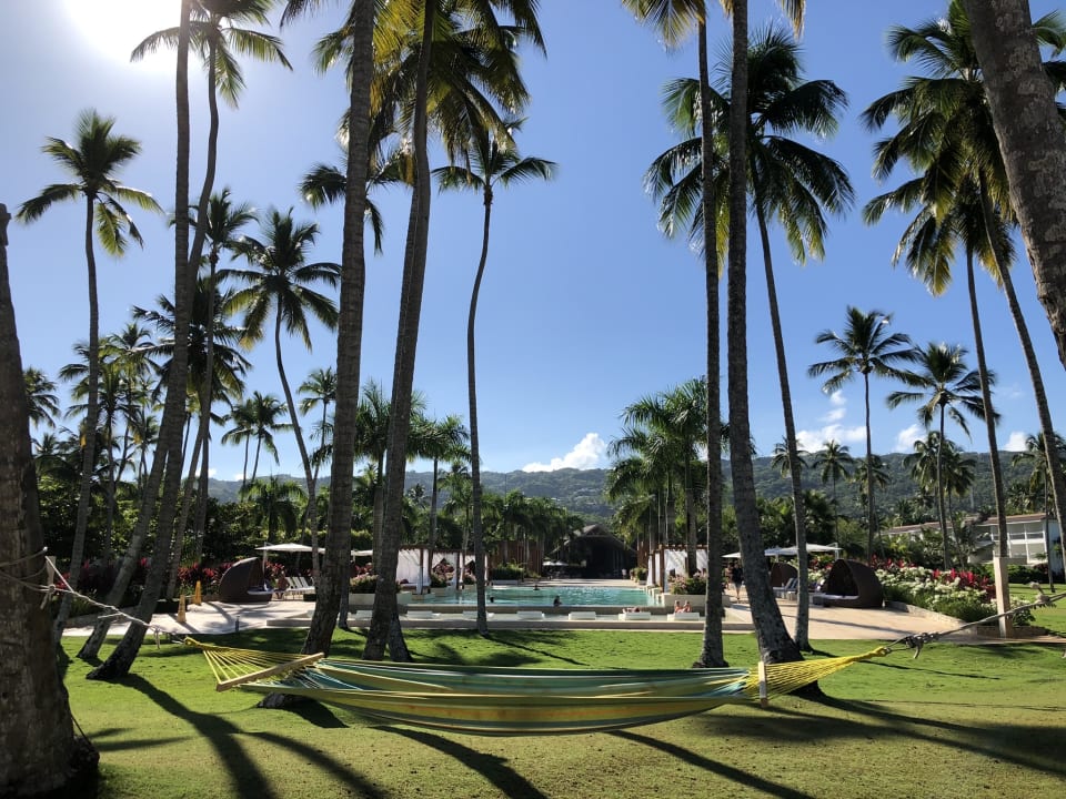Gartenanlage Viva Wyndham Samaná