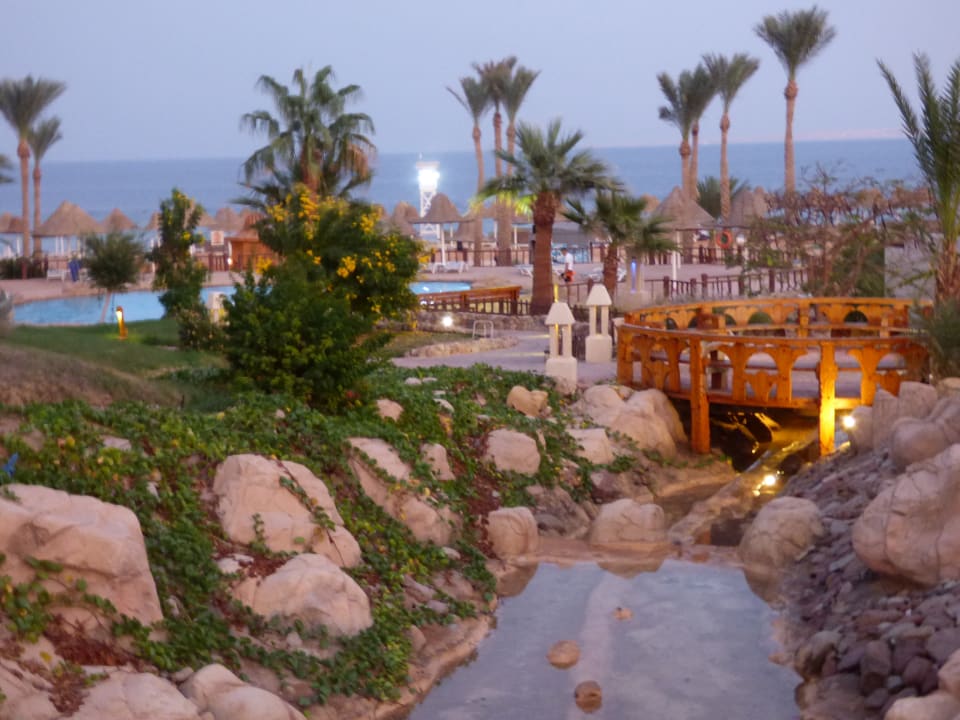 Ausblick Parrotel Beach Resort