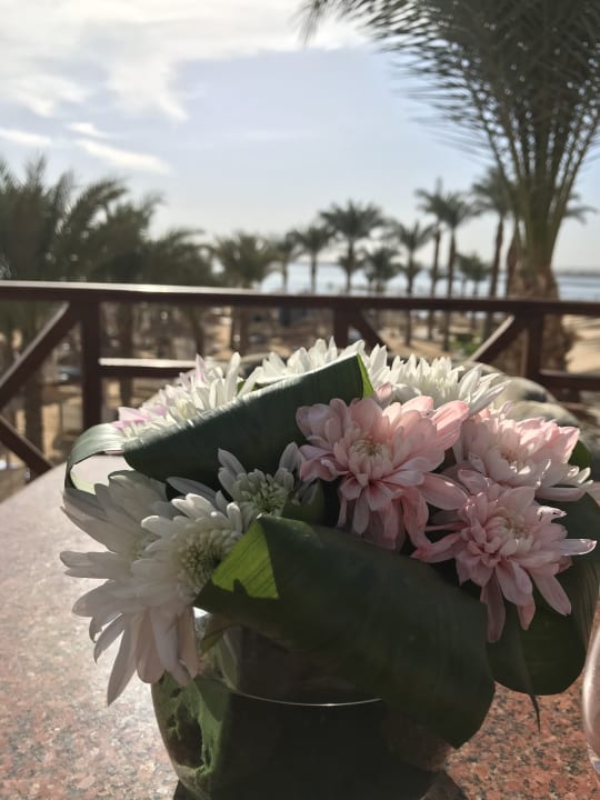 Strand Beach Albatros Resort