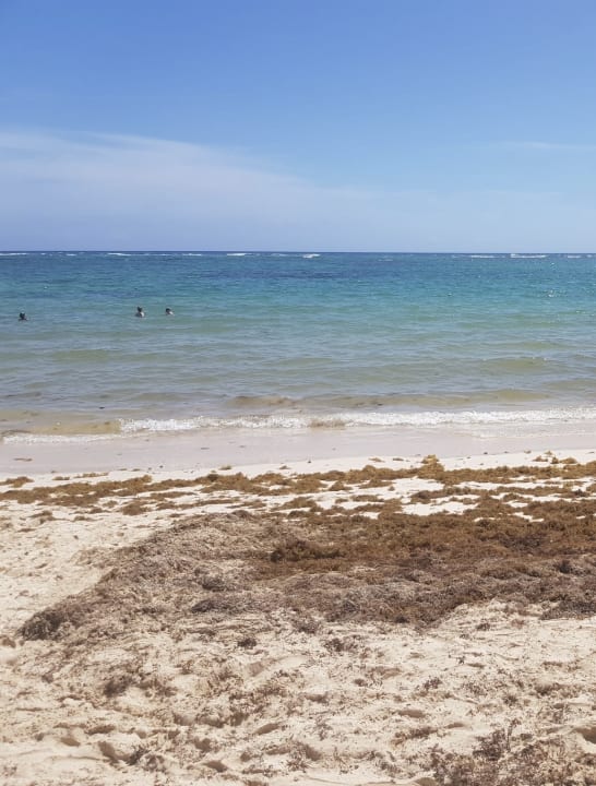 Strand TRS Turquesa Hotel - Adults only