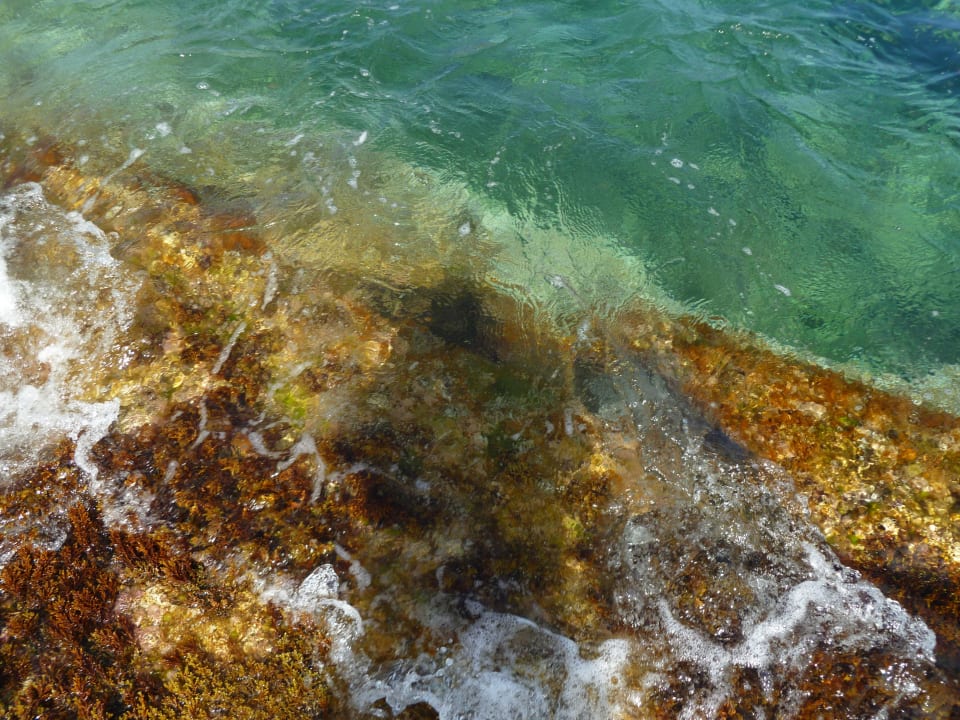 Clarté de la mer Hotel Beach Club Font de Sa Cala