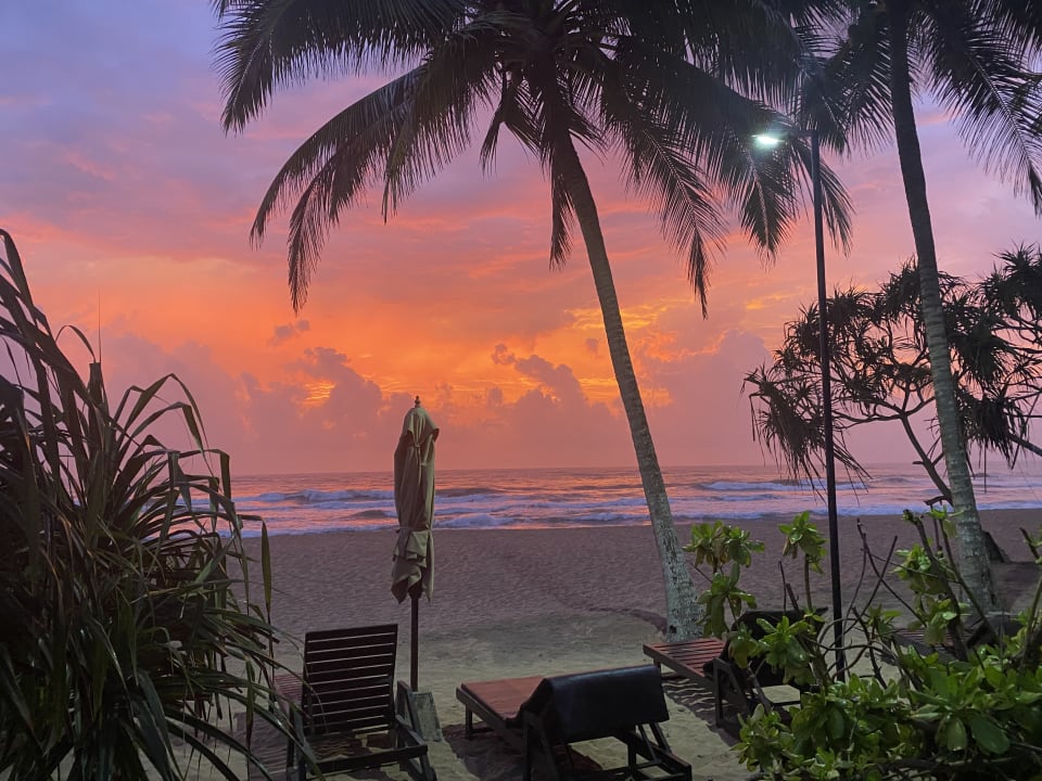 Gartenanlage Pandanus Beach Resort & Spa