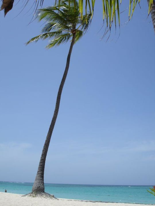 Palmen Grand Palladium Select Bávaro Resort & Spa