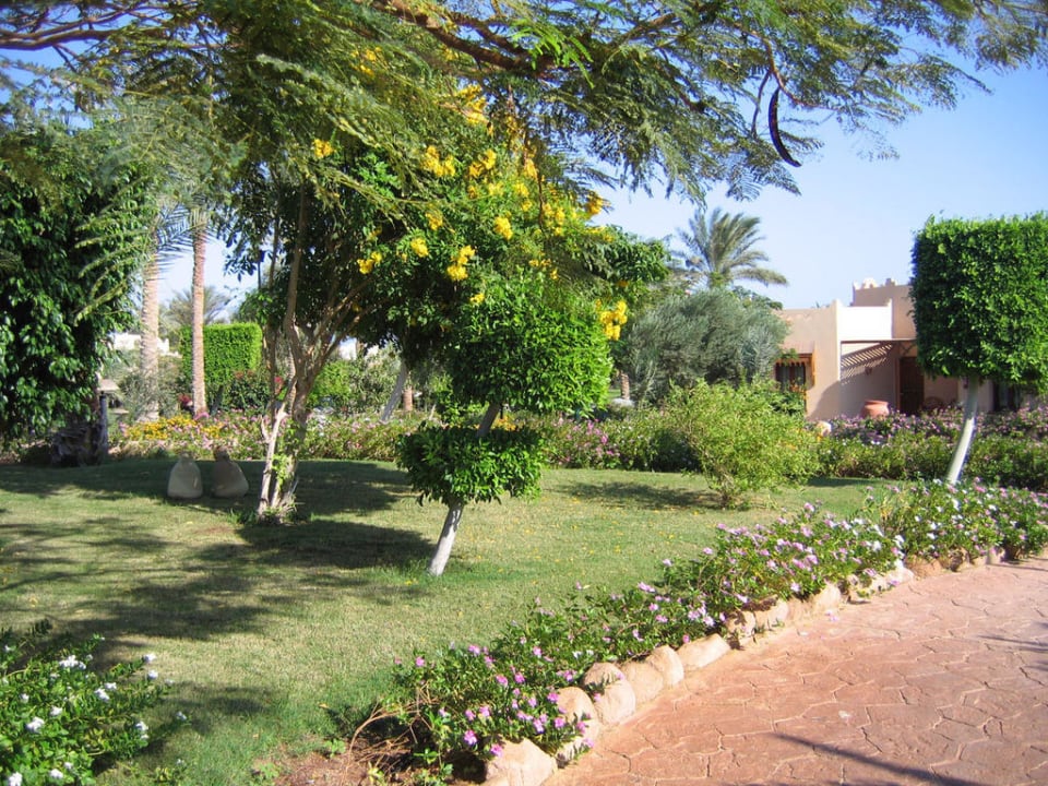 Otoczenia wew. hotelu Hotel Nubian Village