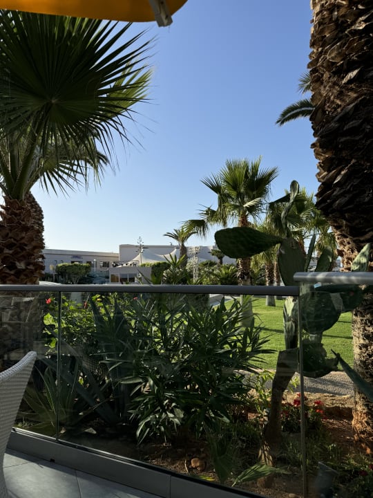 Gartenanlage Lyttos Beach Hotel