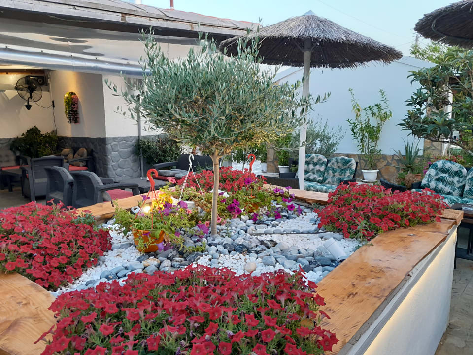 Gastro Hotel Albatros