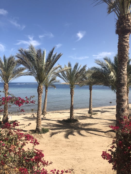 Strand Brayka Bay Resort