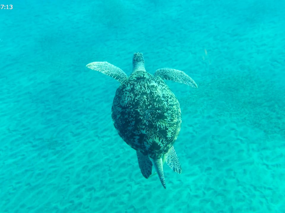 Strand Three Corners Equinox Beach Resort