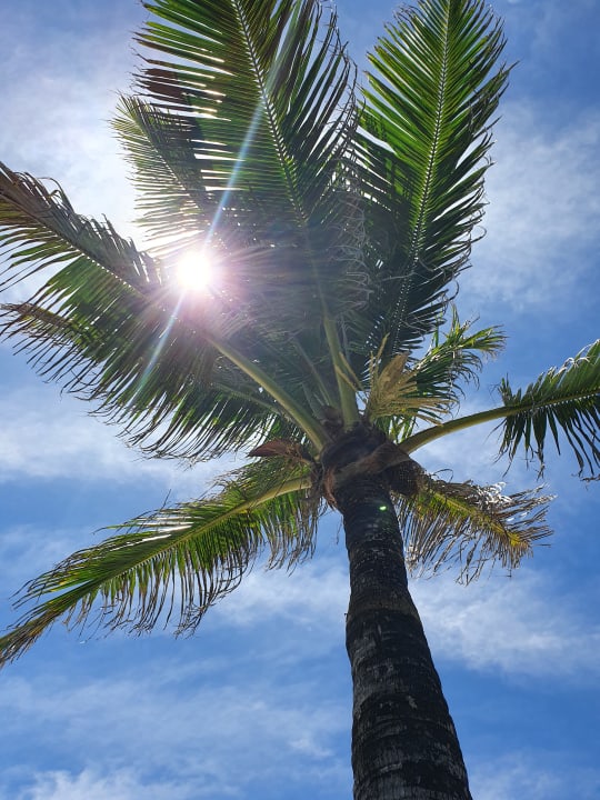 Gartenanlage Radisson Blu Poste Lafayette Resort & Spa - Adults only