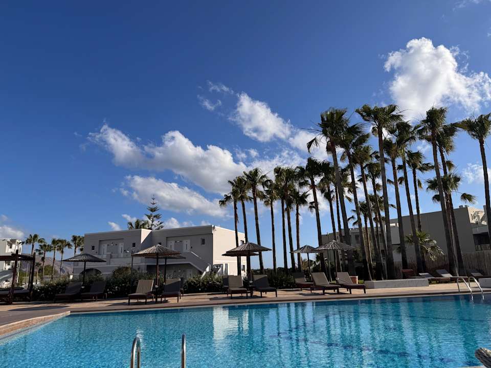 Pool Delfina Tropic Beach