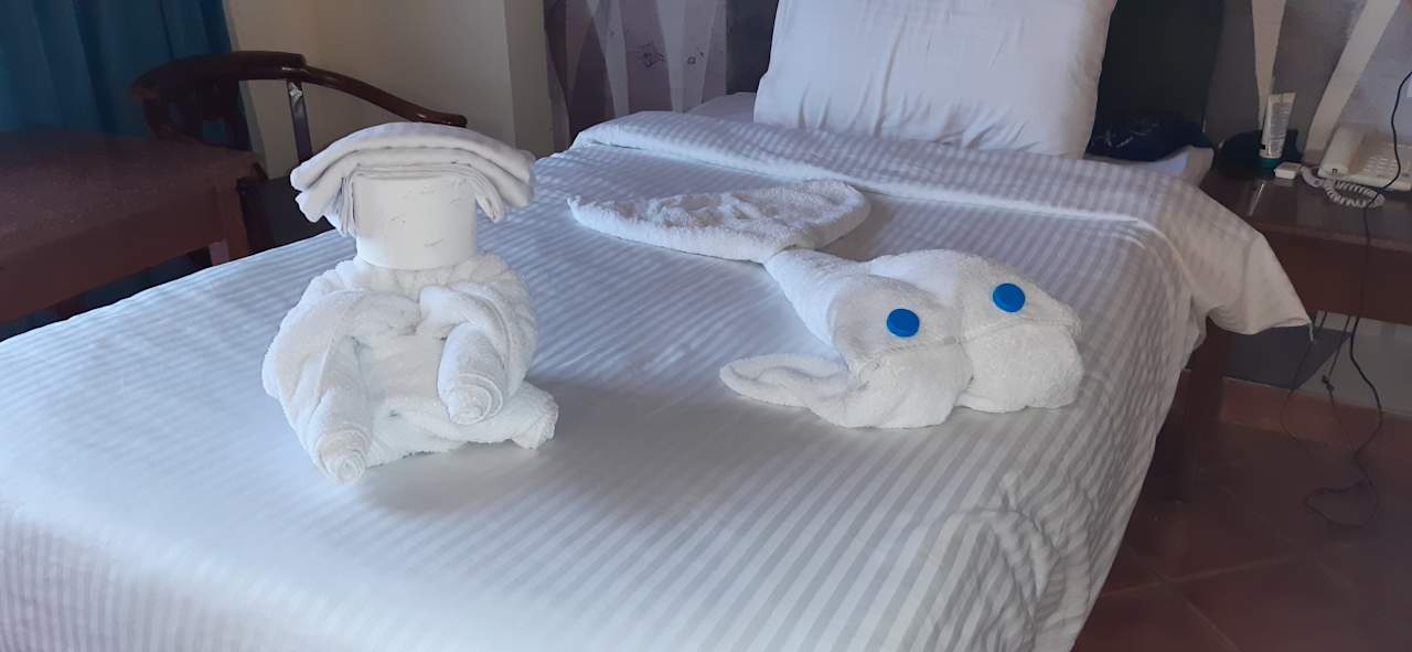 Zimmer Three Corners Sea Beach Resort