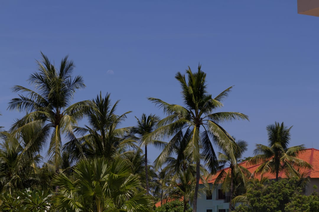 Der Mond scheint manchmal auch tagsüber The Laguna A Luxury Collection Resort & Spa