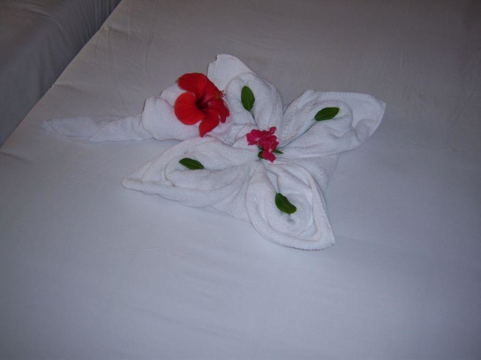 Deko Jaz Dar EL Madina