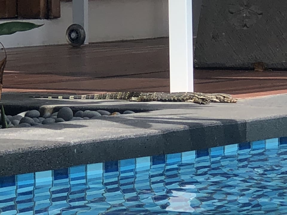 Pool Paradisus by Melia Bali