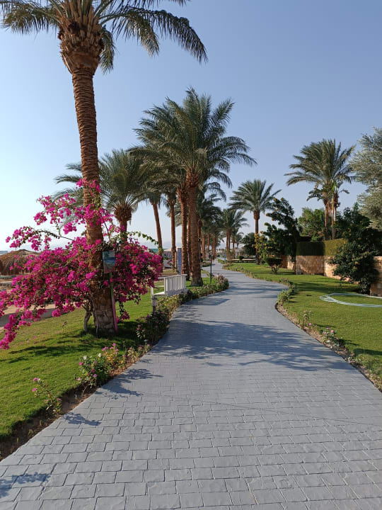 Gartenanlage Sentido Caribbean World Soma Bay