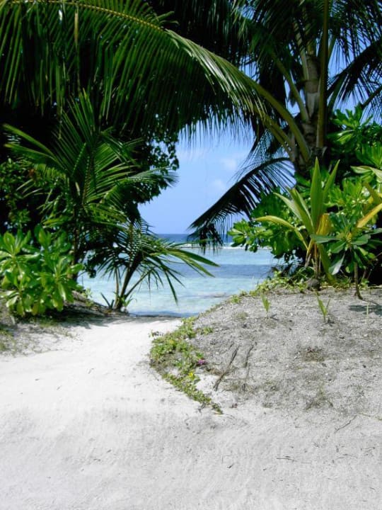Trauminsel Kuramathi Kuramathi Maldives