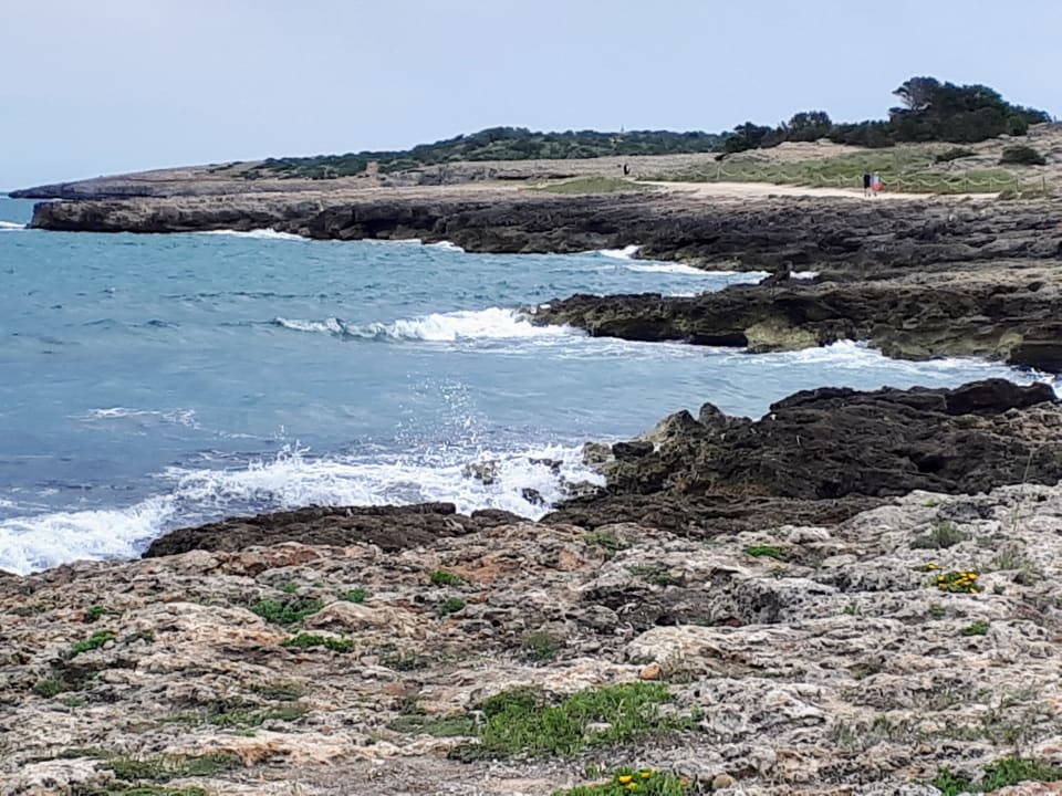 Ausblick Hipotels Bahía Cala Millor