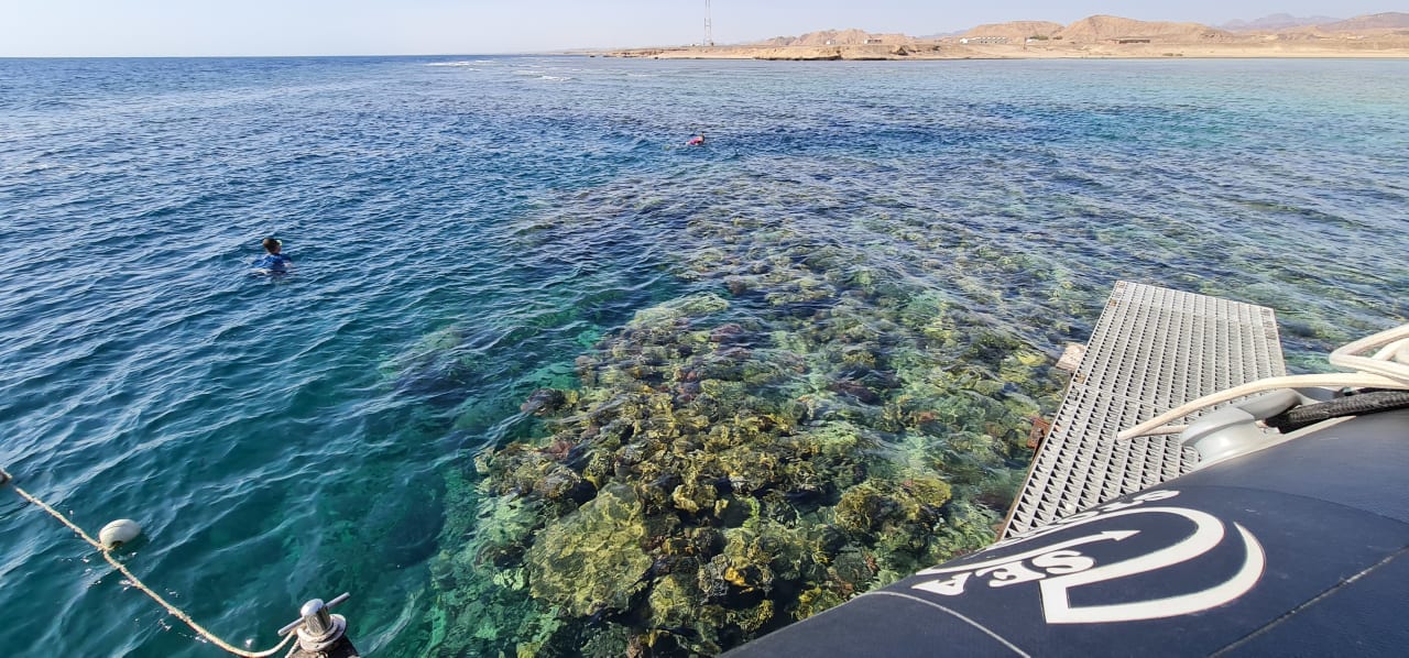 Strand TUI MAGIC LIFE Kalawy