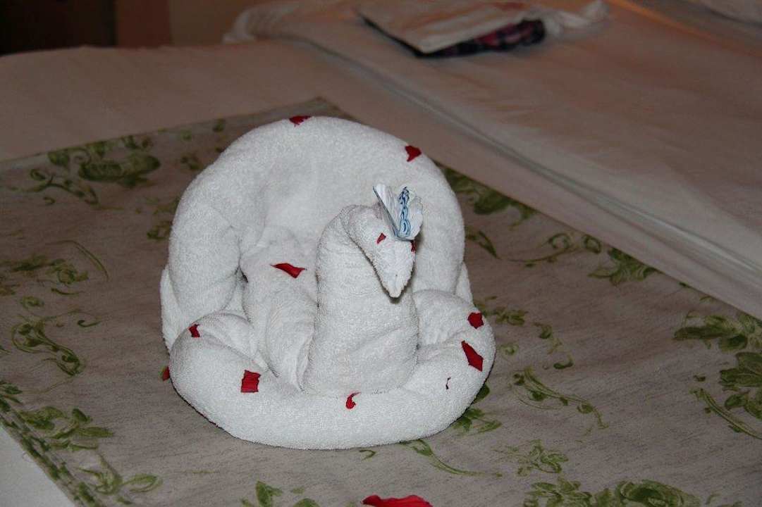 An jedem Tag eine andere Figur Ghazala Gardens