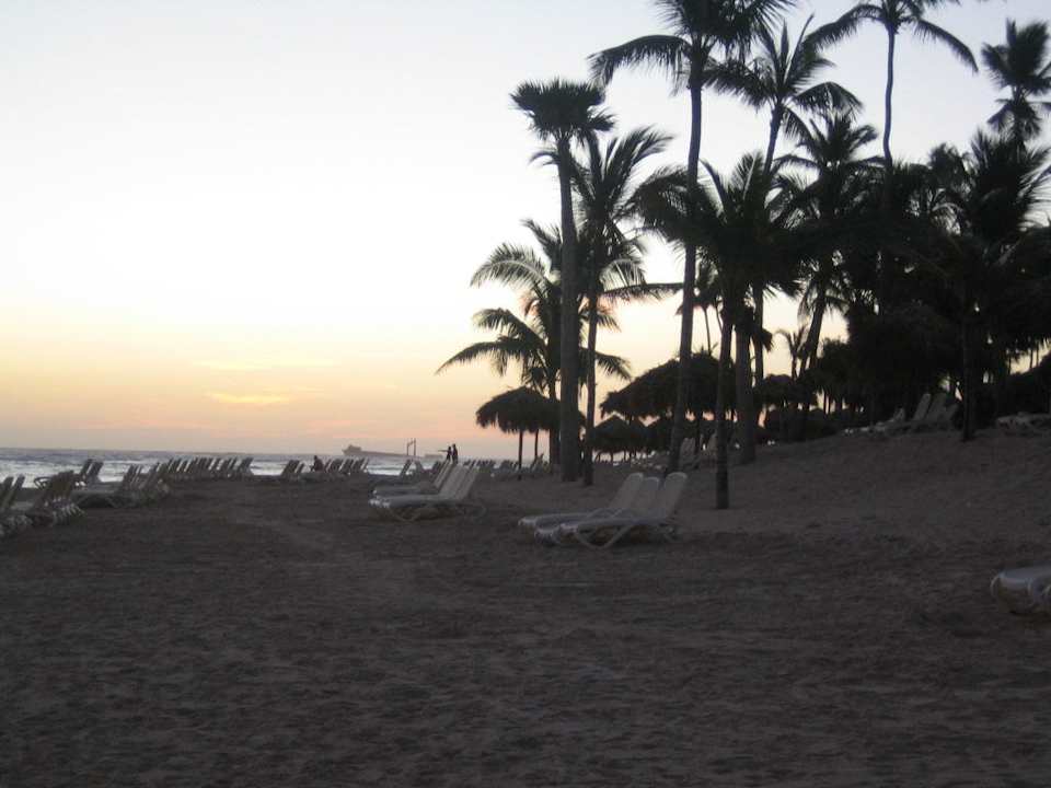 Hotel Grand Paradise Bavaro Royalton Splash Punta Cana