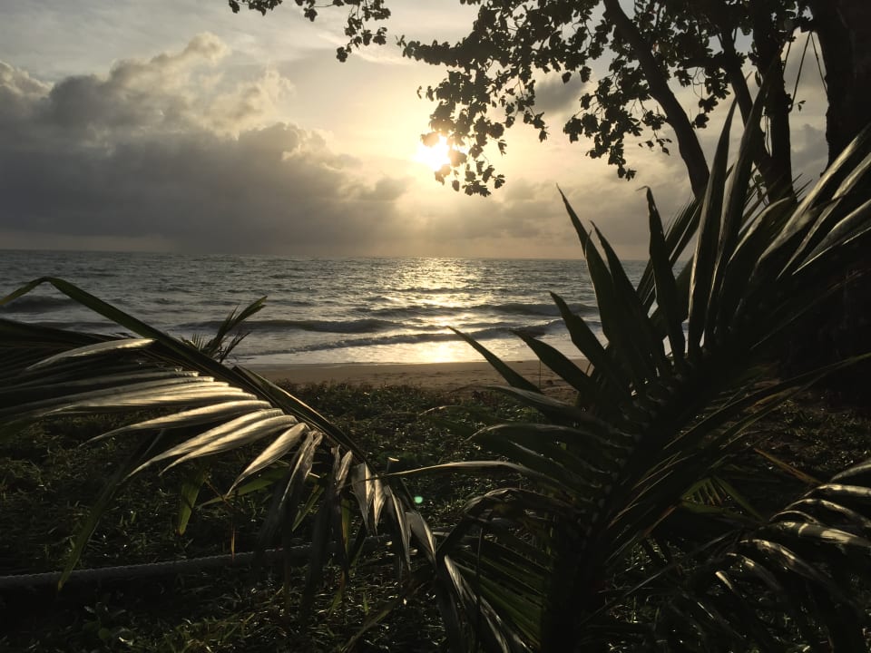 Strand Khao Lak Merlin Resort