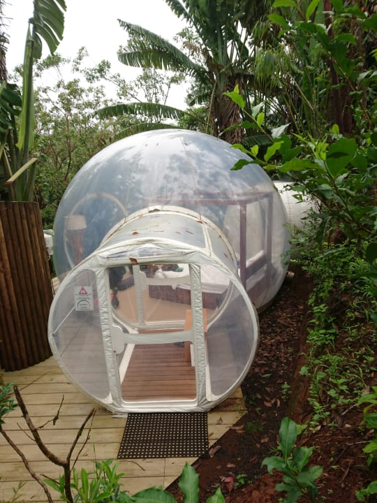 Außenansicht Bubble Lodge