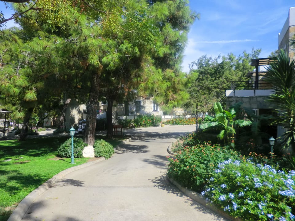 Pure Natur Bodrum Park Resort