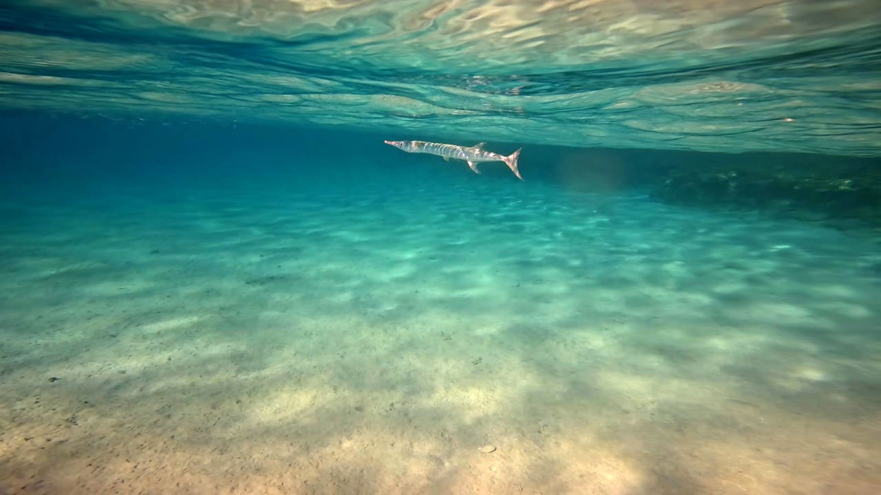 Strand Makadi Spa - Adults only