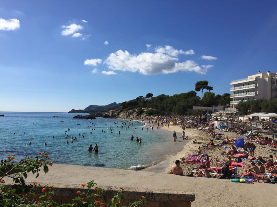Strand Hotel Serrano Palace
