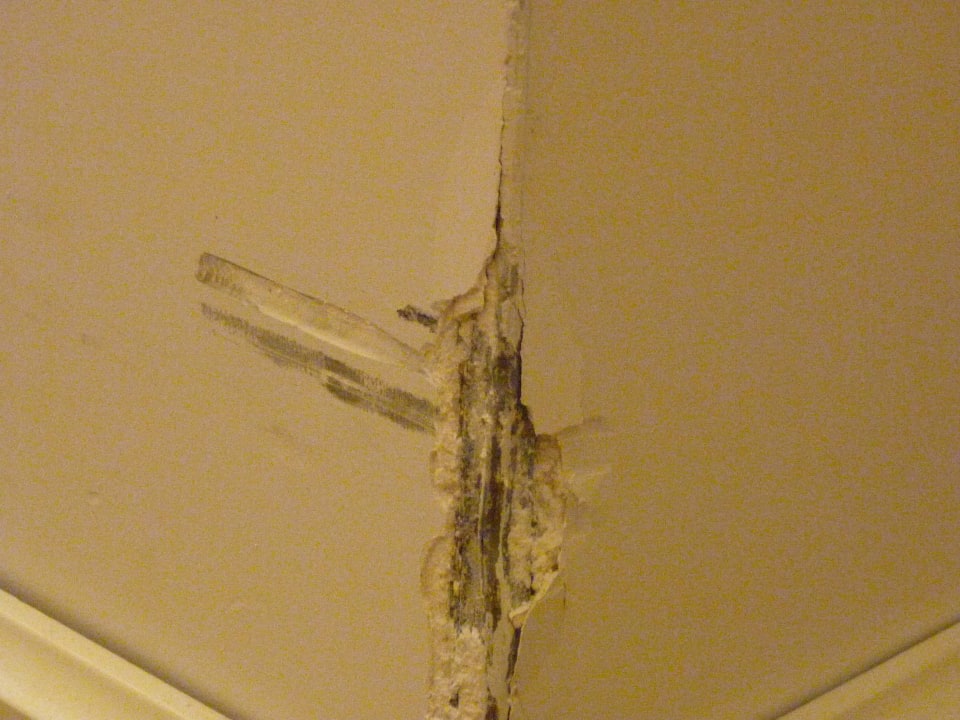 Flur zum Zimmer  Well Palace Side