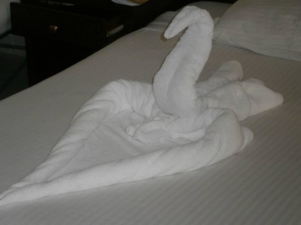 Сюрприз от обслуги Seagull Beach Resort