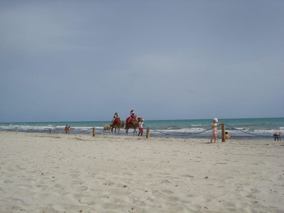 Plaża hotelu.  Djerba Aqua Resort
