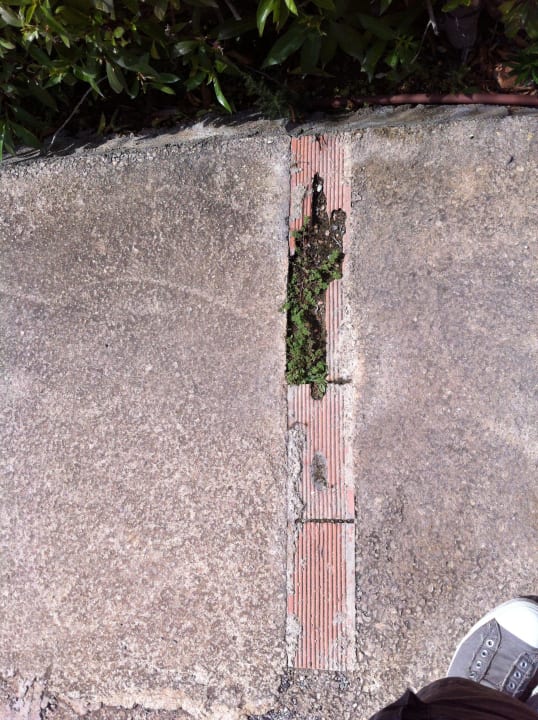 Gehweg Cala Llenya Resort Ibiza