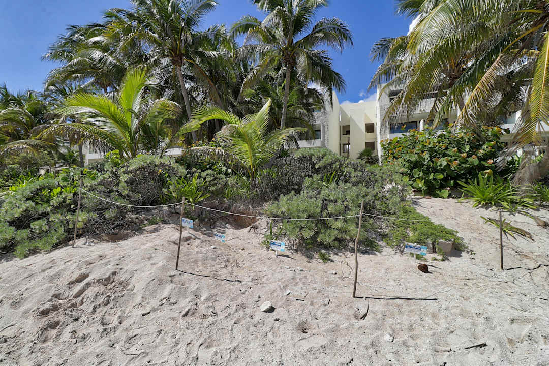 Strand Akumal Bay Beach & Wellness Resort