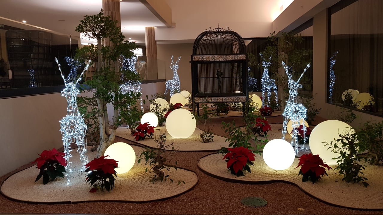 Lobby Hotel Riu Palace Jandia