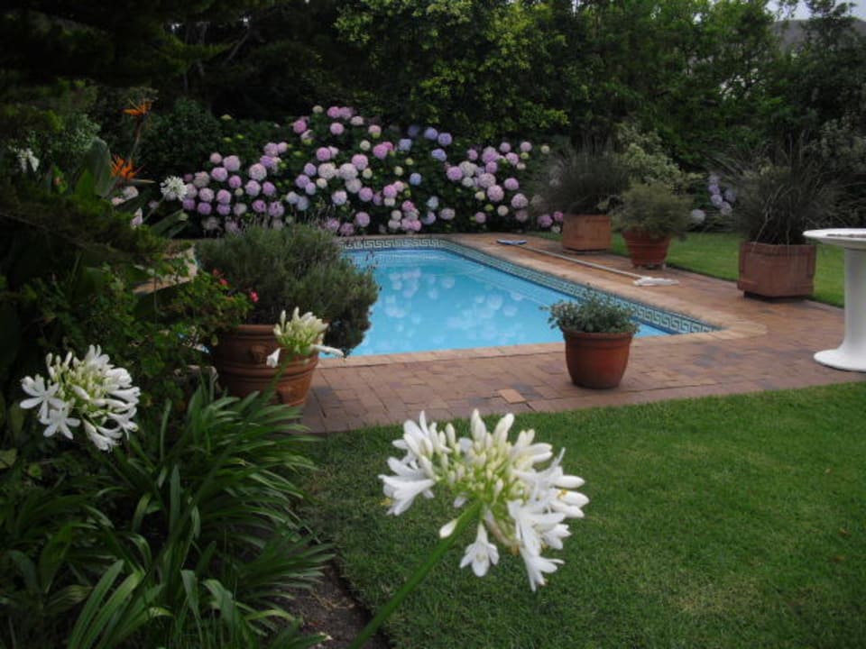 Hortensien, Pool und Garten Hortensia Lodge